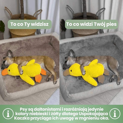 Uspokajająca Zabawka Kaczka od Veluna