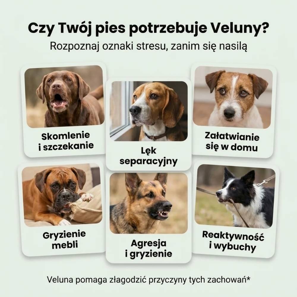 Veluna Dyfuzor Feromonów dla Psów
