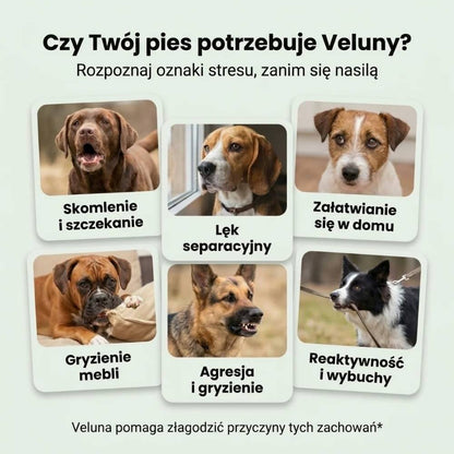 Veluna Dyfuzor Feromonów dla Psów