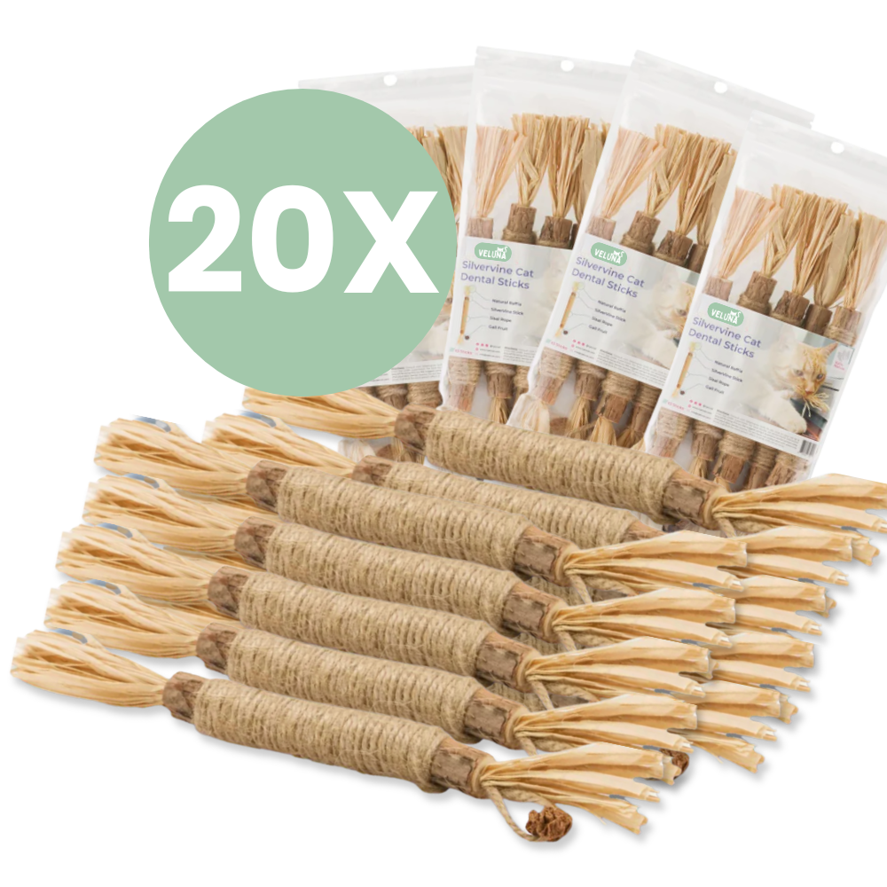 Veluna DentaSticks dla Kotów