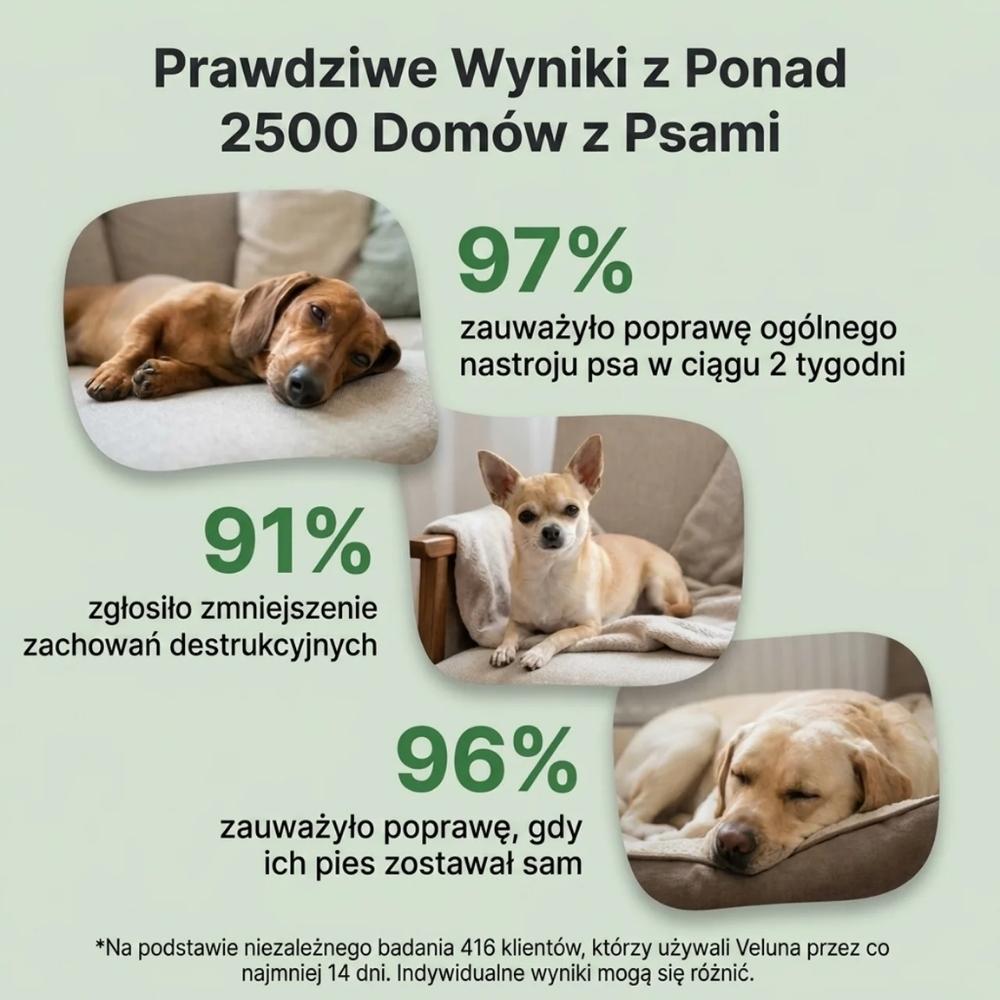 Veluna Dyfuzor Feromonów dla Psów