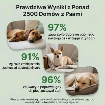 Veluna Dyfuzor Feromonów dla Psów