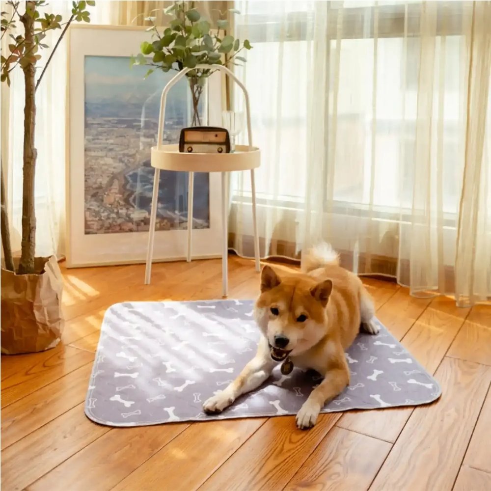 Veluna PuppyPad dla Psów