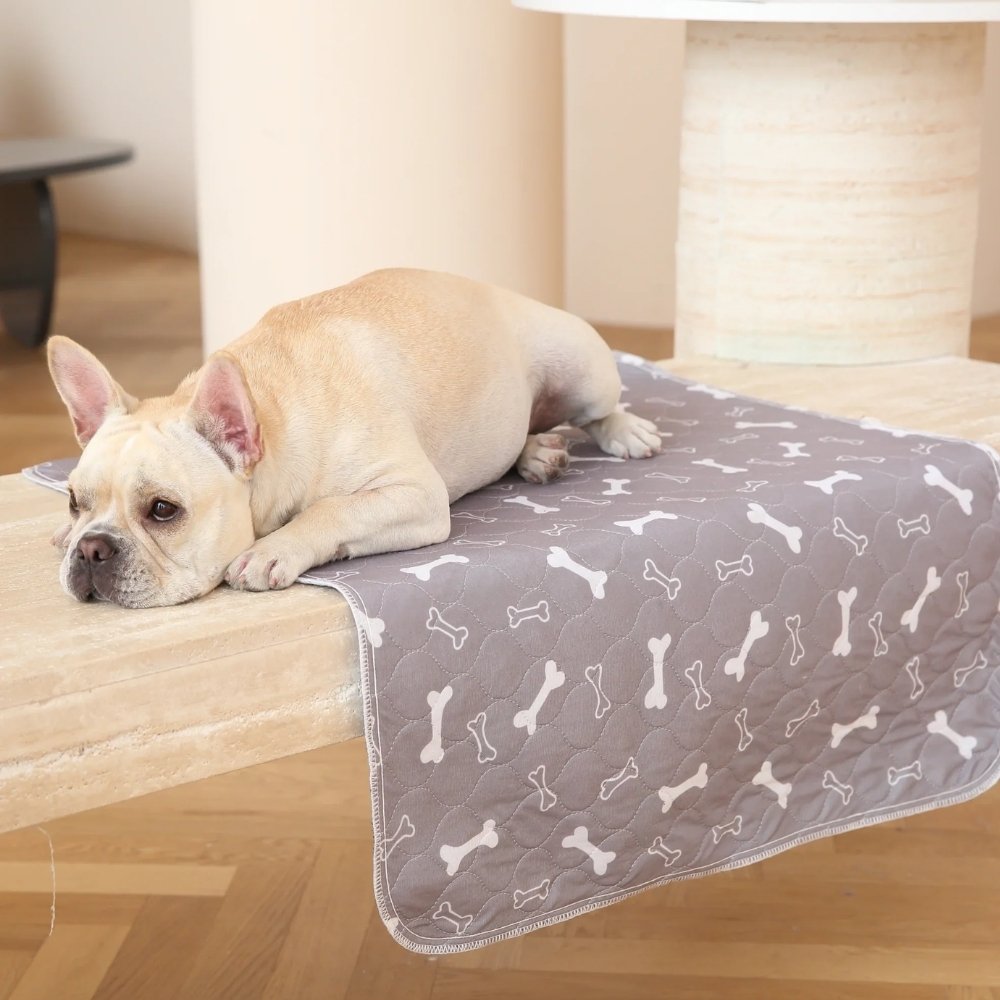 Veluna PuppyPad dla Psów
