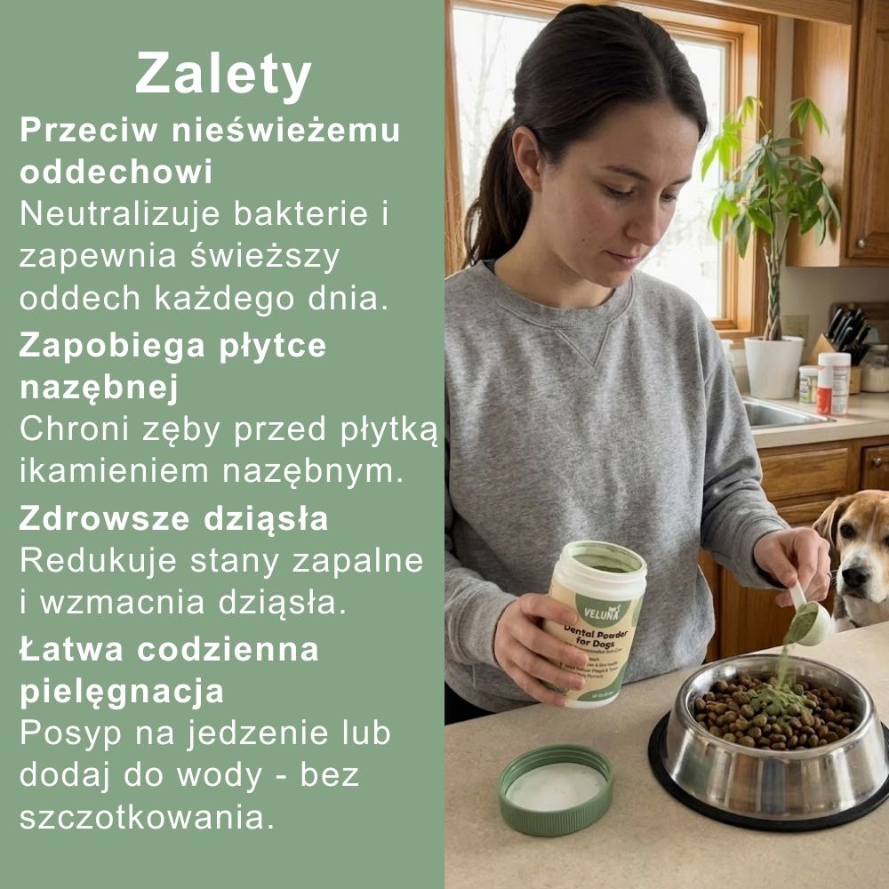 Veluna Proszek Dentystyczny dla Psów