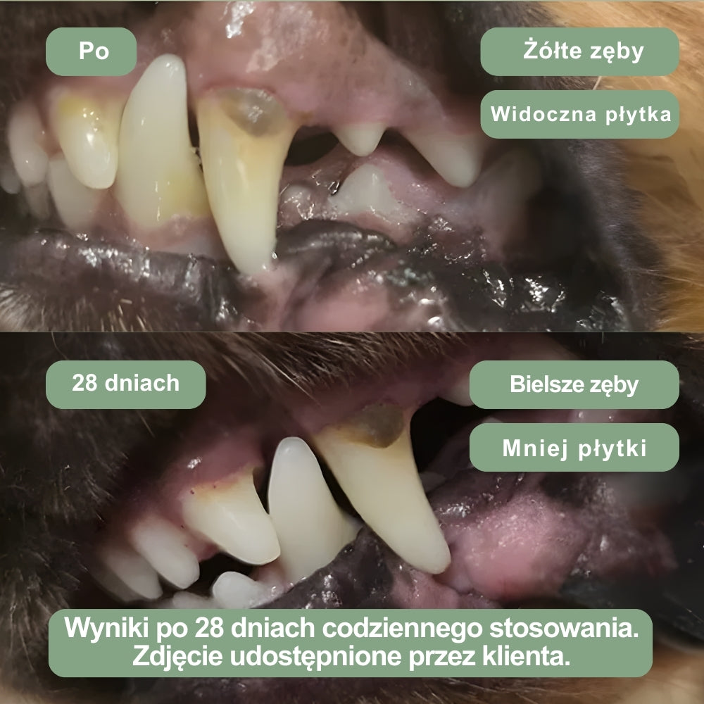 Veluna Proszek Dentystyczny dla Psów
