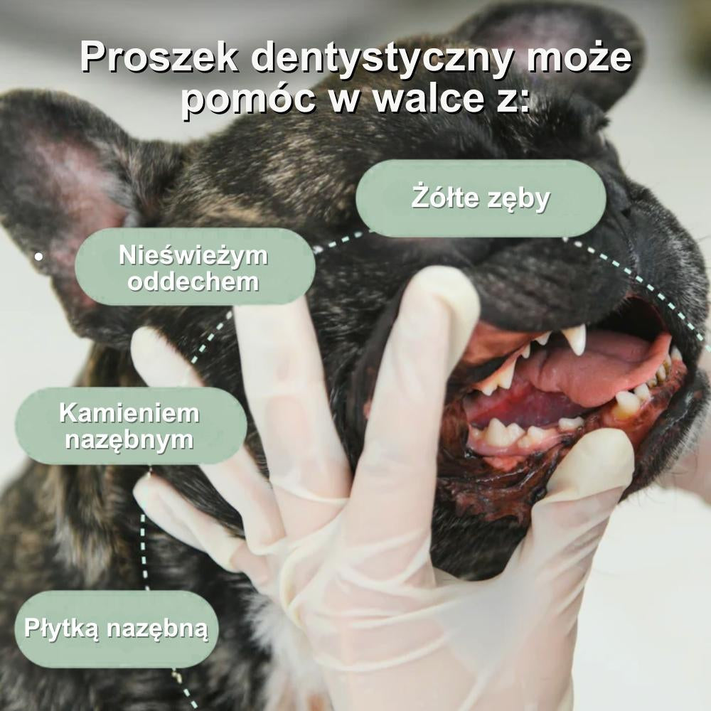 Veluna Proszek Dentystyczny dla Psów