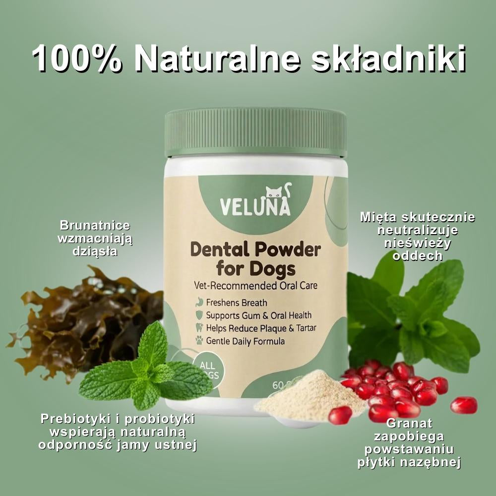 Veluna Proszek Dentystyczny dla Psów