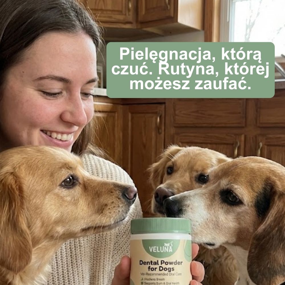 Veluna Proszek Dentystyczny dla Psów