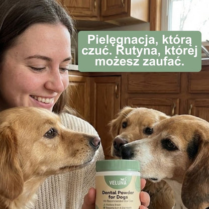 Veluna Proszek Dentystyczny dla Psów