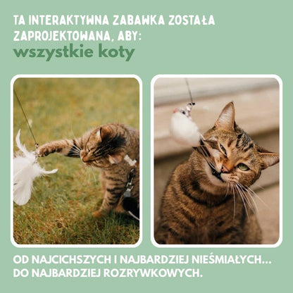 Veluna Interaktywna Zabawka w Kształcie Ptaszka dla Kotów