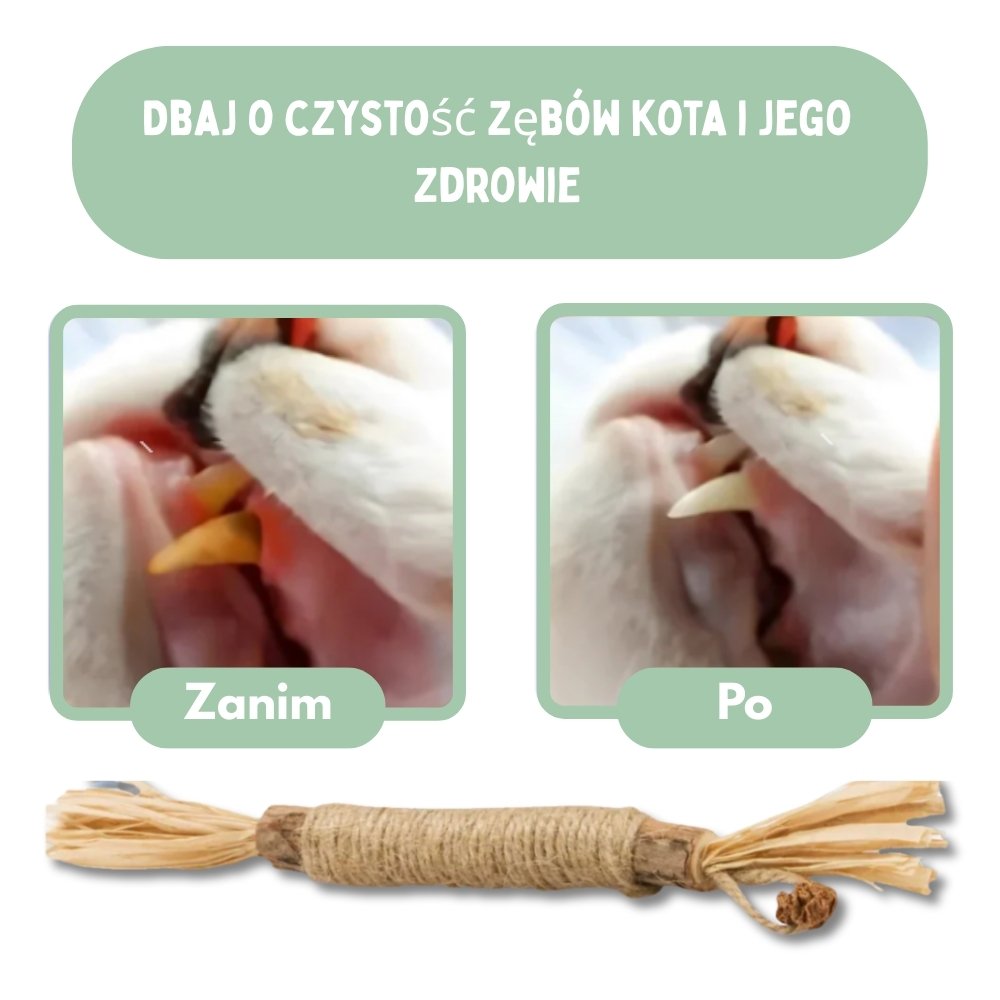 Veluna DentaSticks dla Kotów