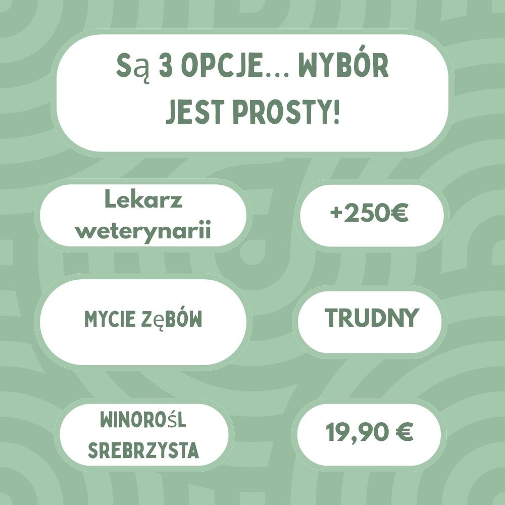 Veluna DentaSticks dla Kotów