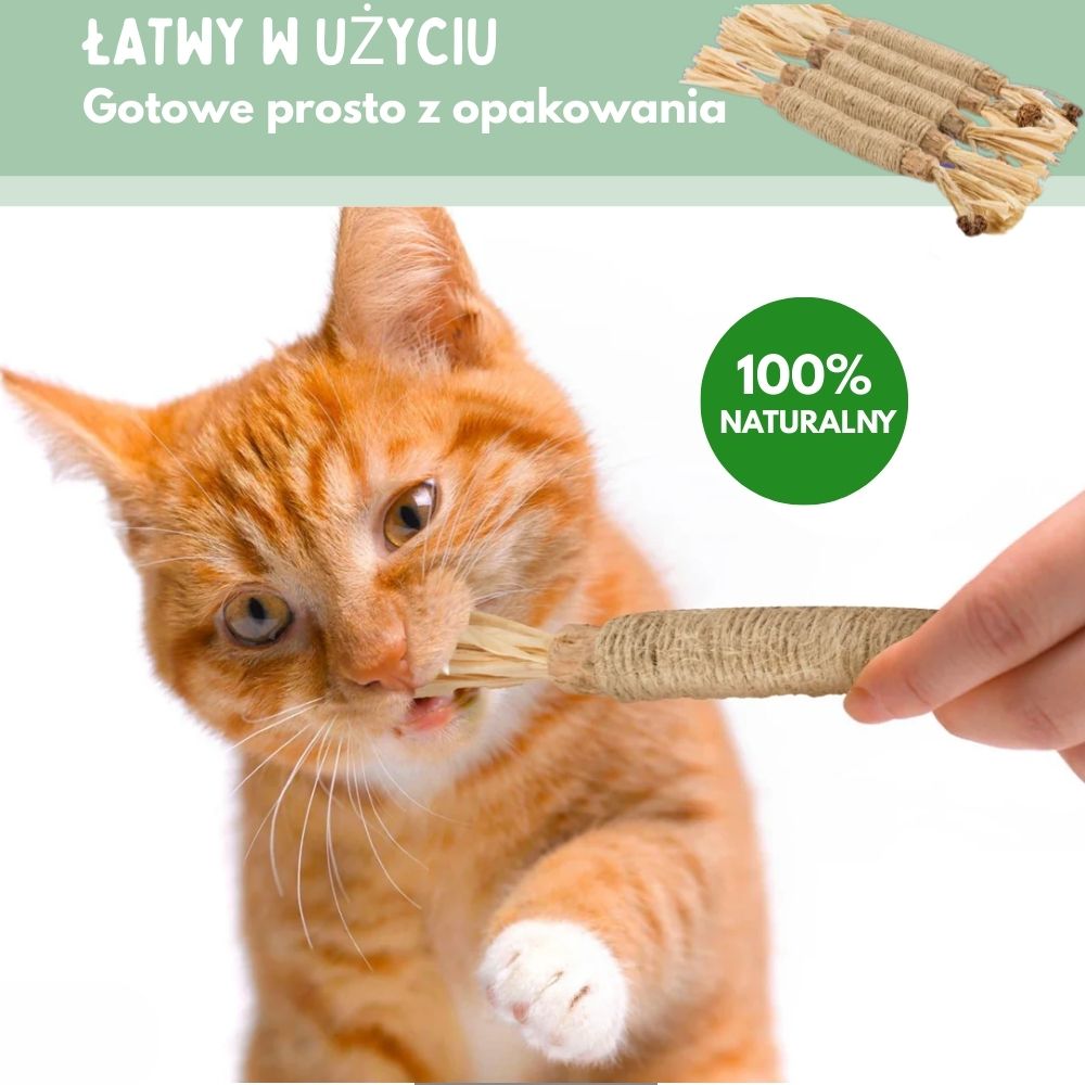 Veluna DentaSticks dla Kotów