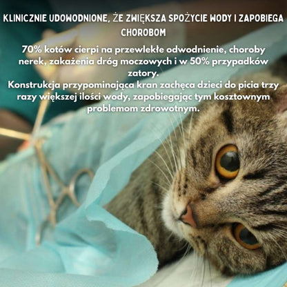 Veluna Fontanna na Wodę dla Kotów
