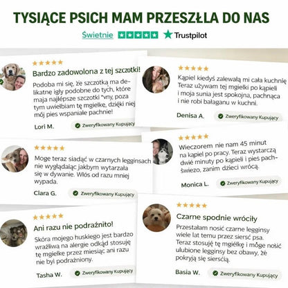 Veluna FreshBrush z Mgiełką Oczyszczającą