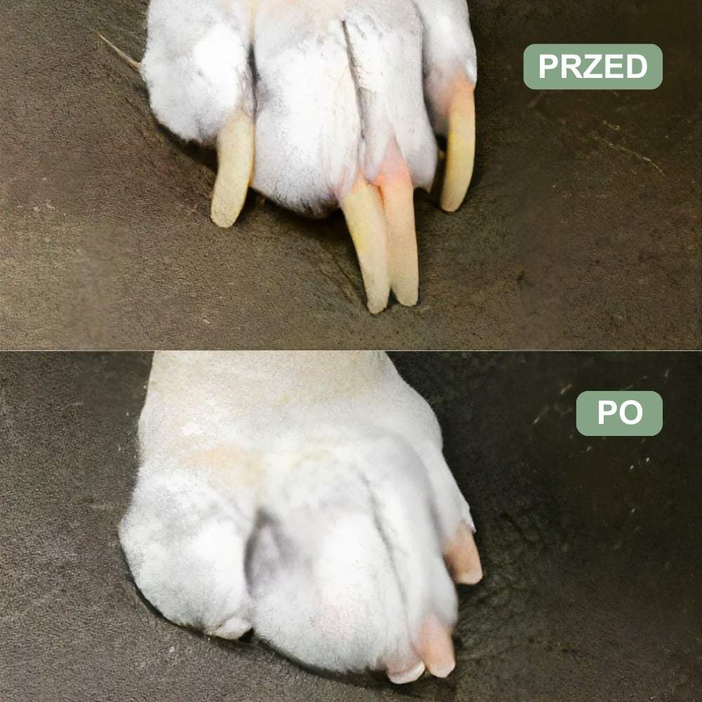 Veluna GroomPro dla Psów