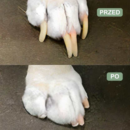 Veluna GroomPro dla Psów
