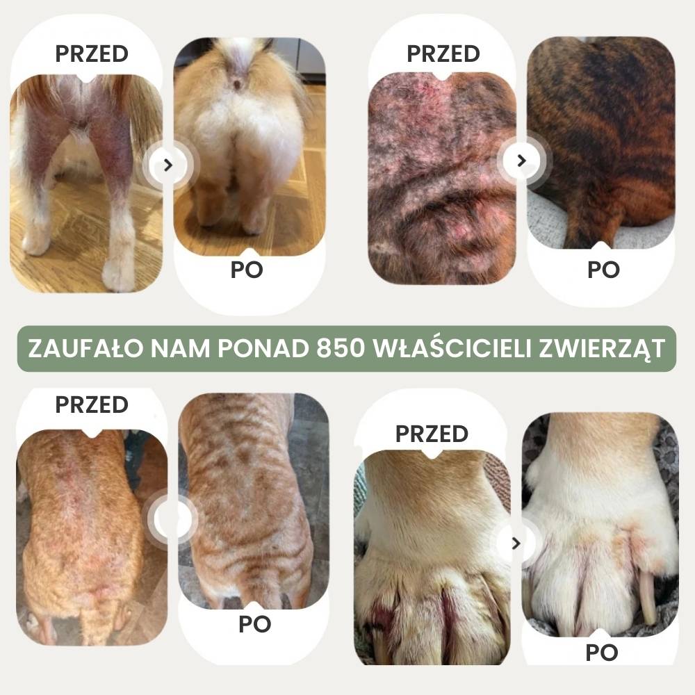 Veluna Spray na Skórę dla Psów Zatwierdzony przez Weterynarza