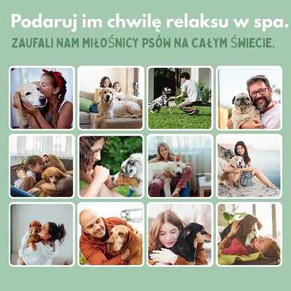 Veluna Steam Brush dla Psów