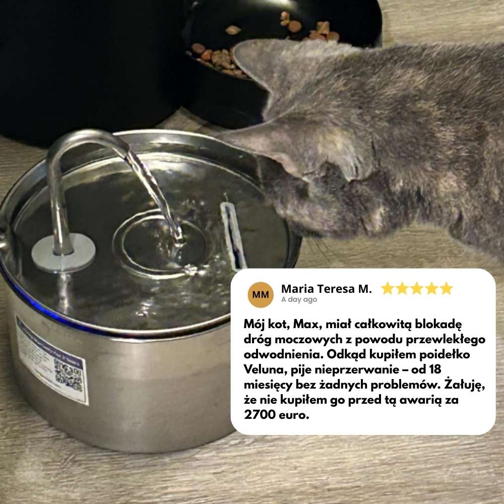 Veluna Fontanna na Wodę dla Kotów
