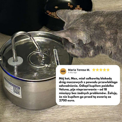Veluna Fontanna na Wodę dla Kotów