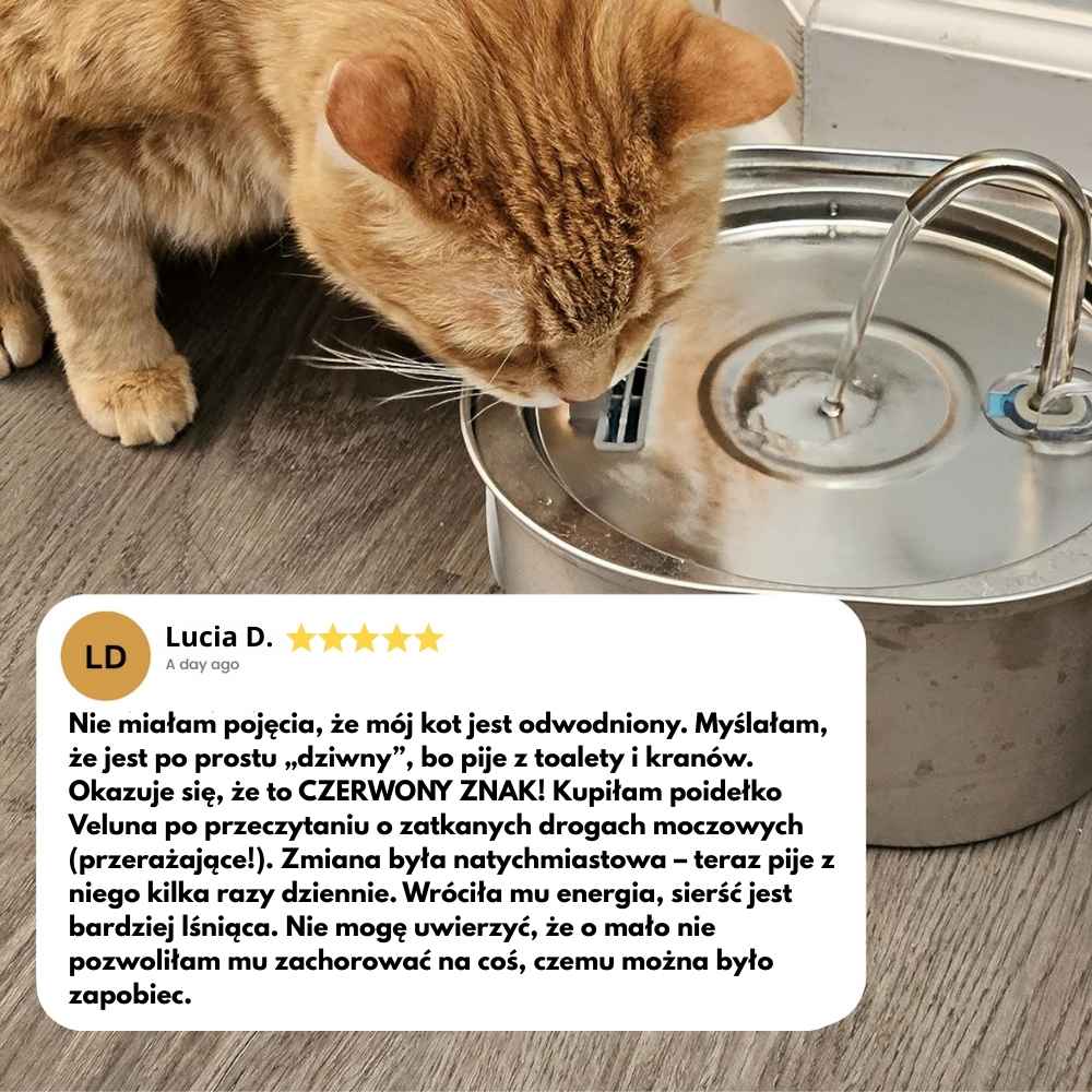 Veluna Fontanna na Wodę dla Kotów