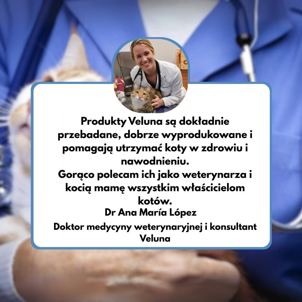 Veluna Fontanna na Wodę dla Kotów
