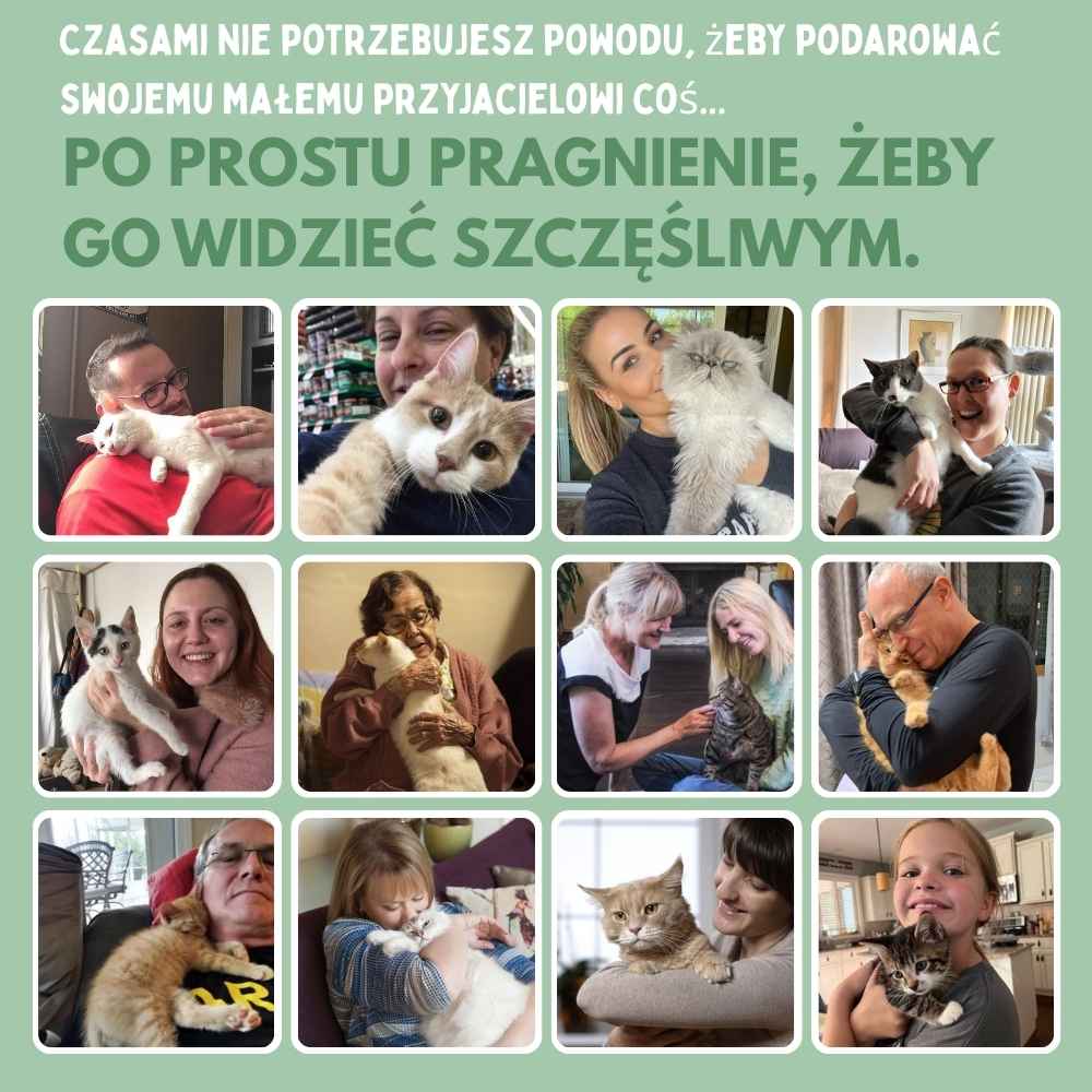 Veluna Interaktywna Zabawka w Kształcie Ptaszka dla Kotów