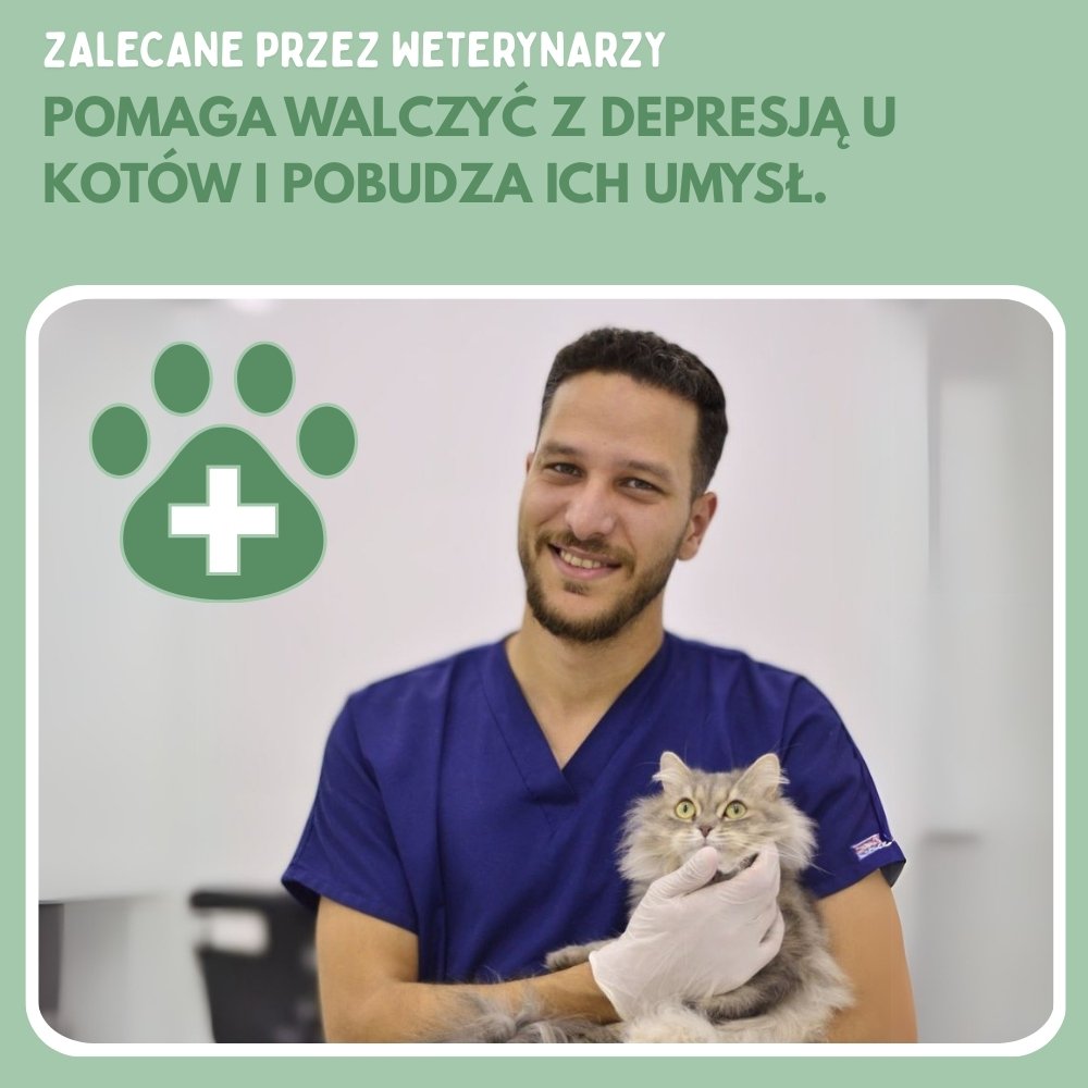 Veluna Smart Ball dla Kotów