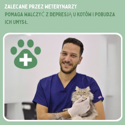 Veluna Interaktywna zabawka dla kotów