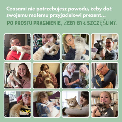 Veluna Interaktywna zabawka dla kotów