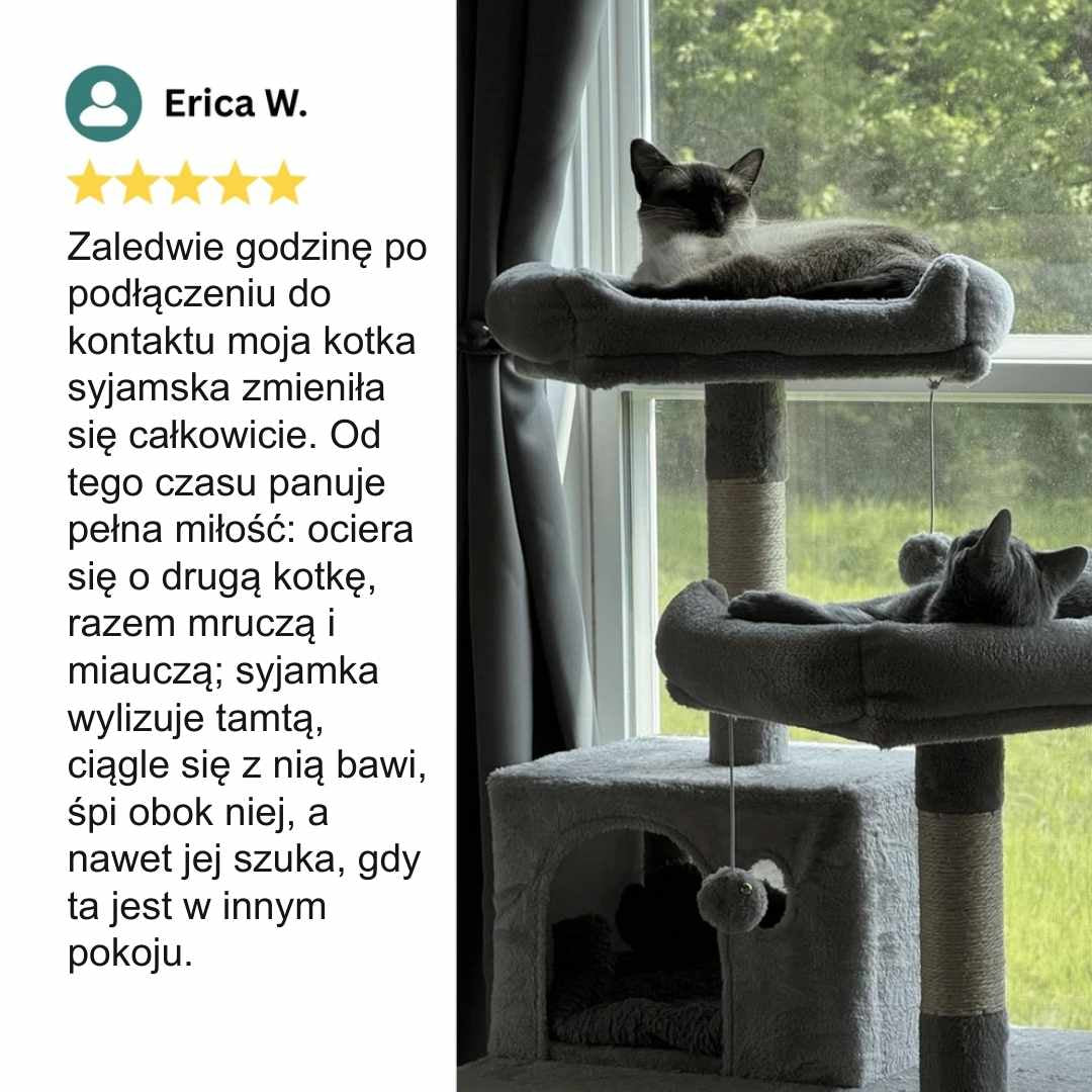 Veluna Dyfuzor Feromonów dla Kotów