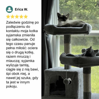 Veluna Dyfuzor Feromonów dla Kotów