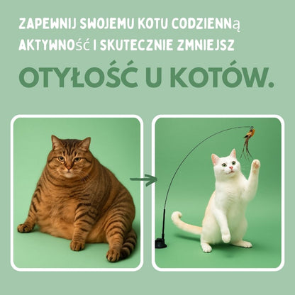 Veluna Interaktywna Zabawka w Kształcie Ptaszka dla Kotów