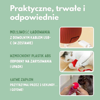 Veluna Smart Ball dla Kotów