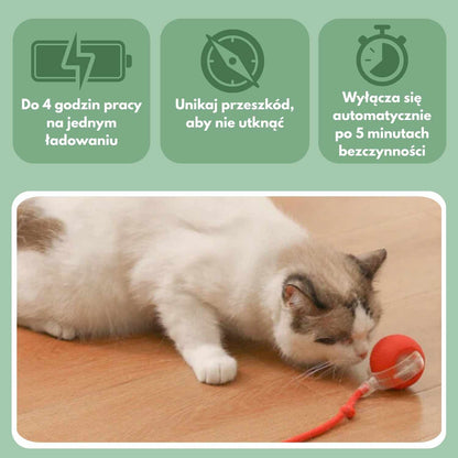 Veluna Smart Ball dla Kotów