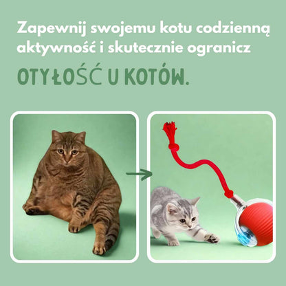 Veluna Smart Ball dla Kotów