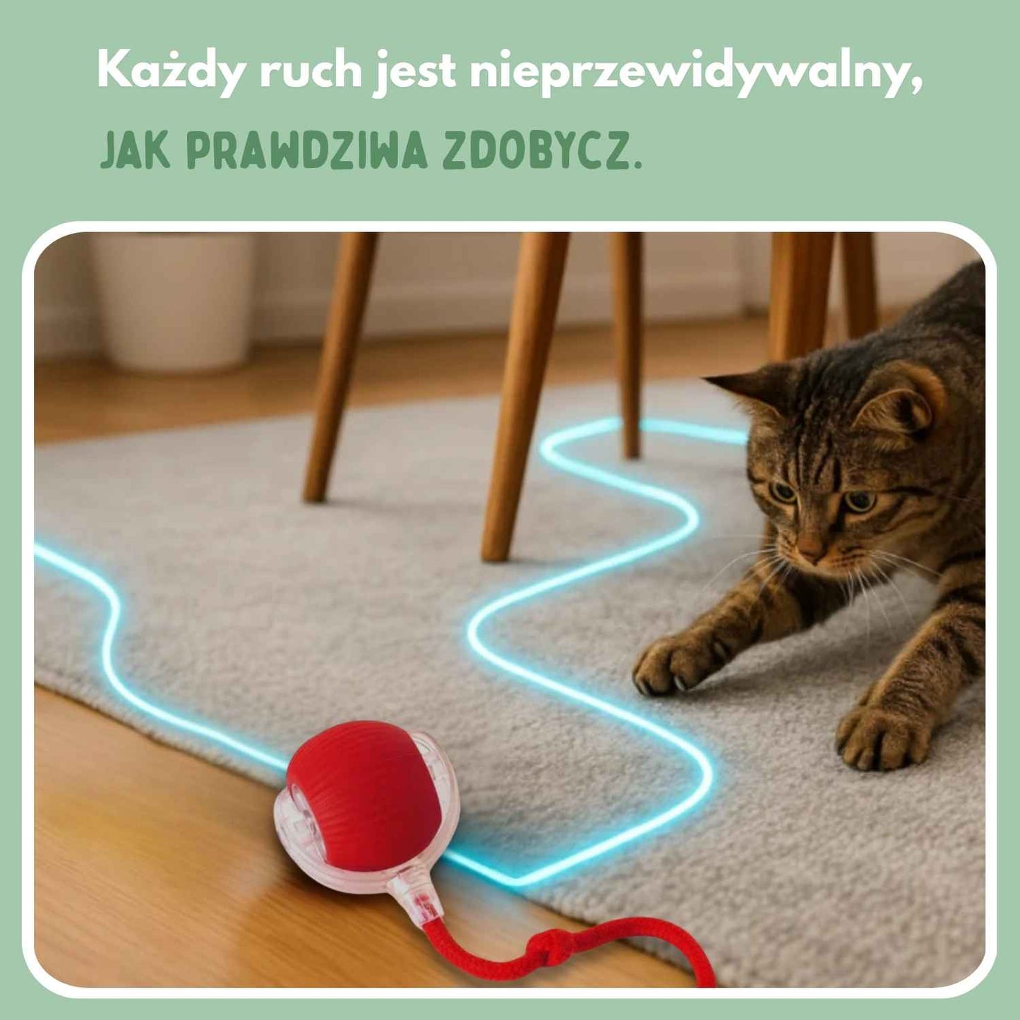 Veluna Smart Ball dla Kotów