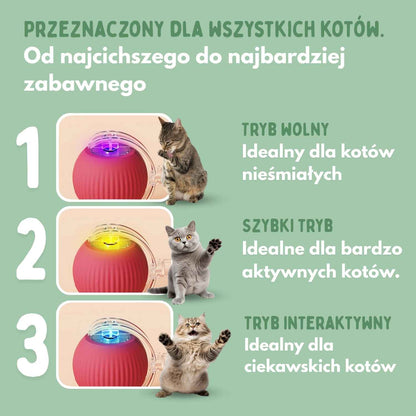 Veluna Smart Ball dla Kotów